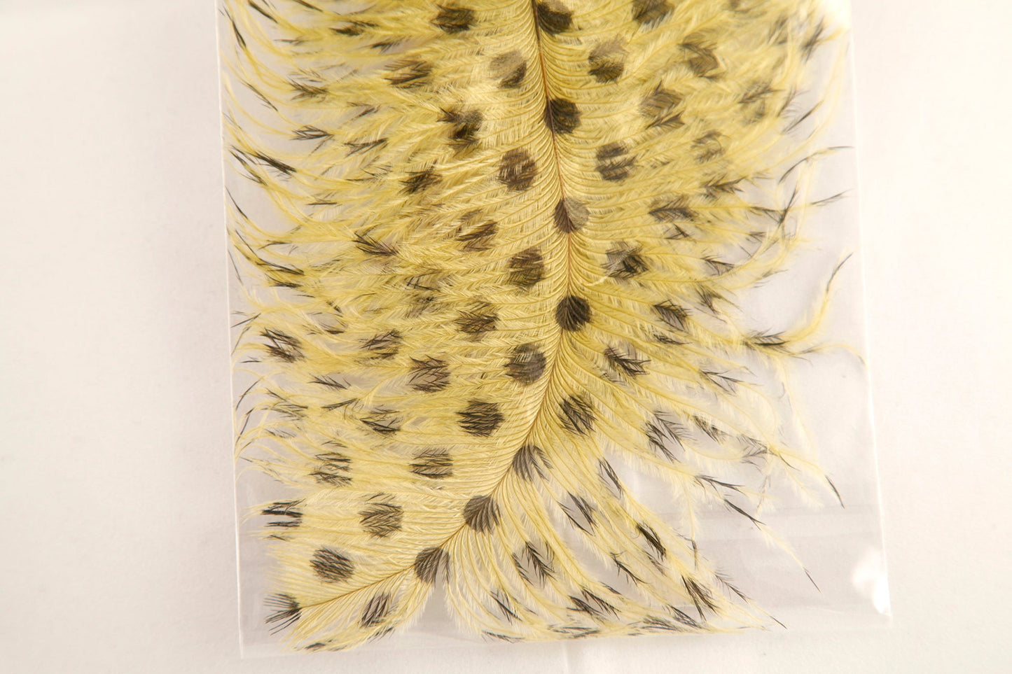 Signature Intruder Drabs – Barred and Dotted – 2 Pack