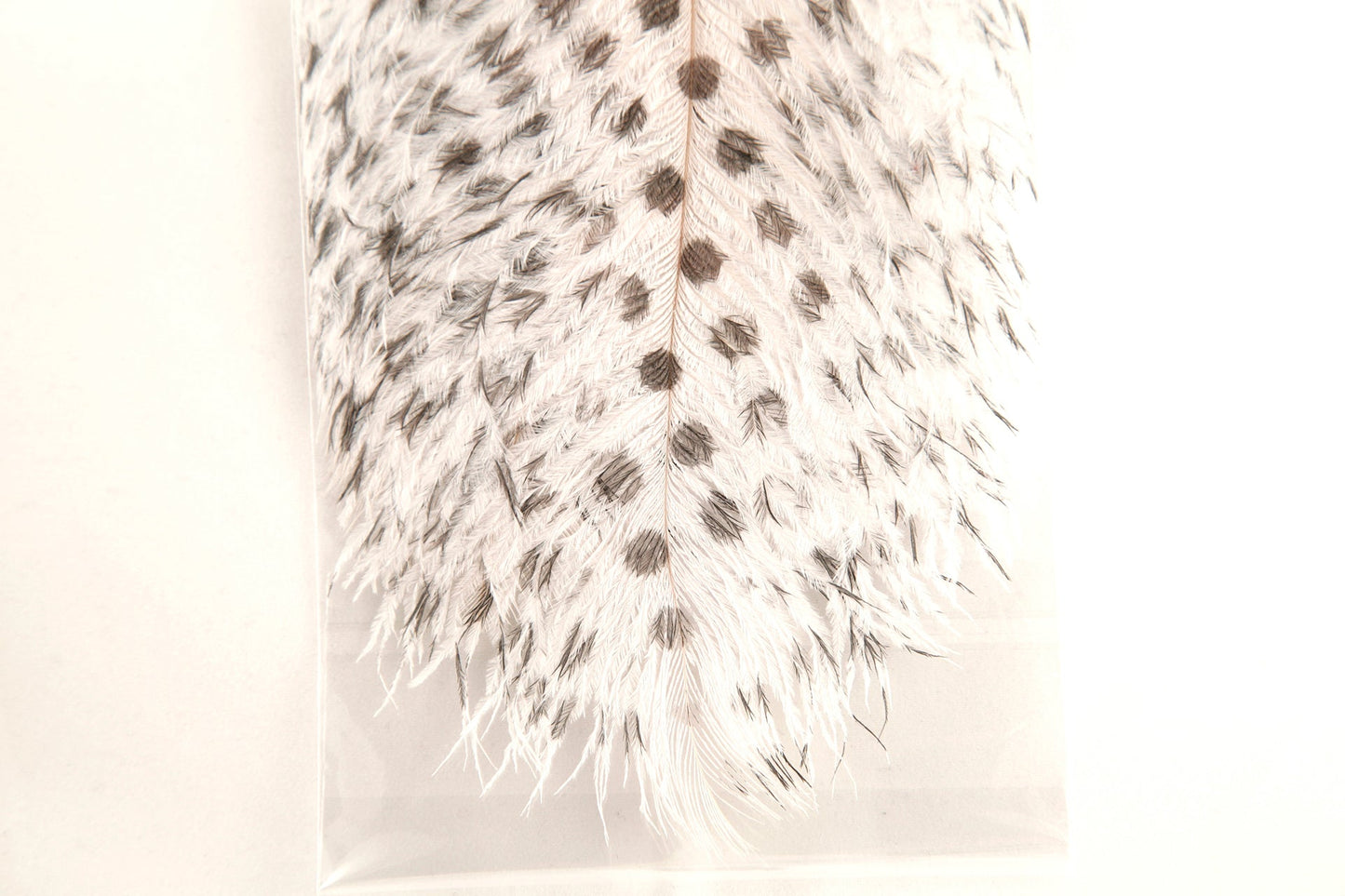 Signature Intruder Drabs – Barred and Dotted – 2 Pack