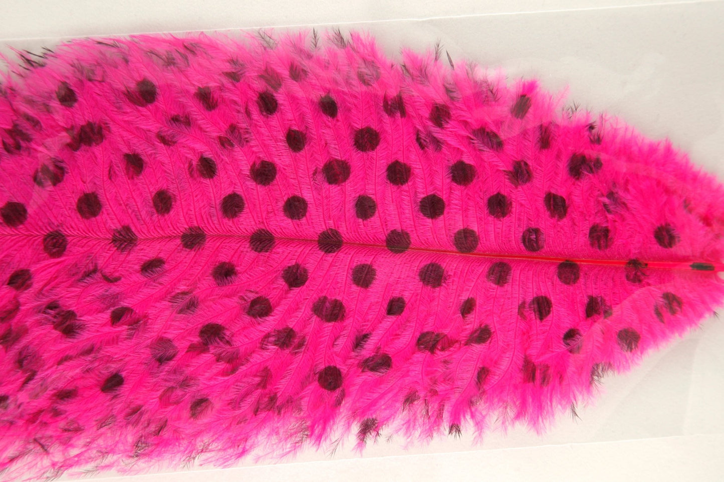 Signature Intruder Drabs – Barred and Dotted – 2 Pack