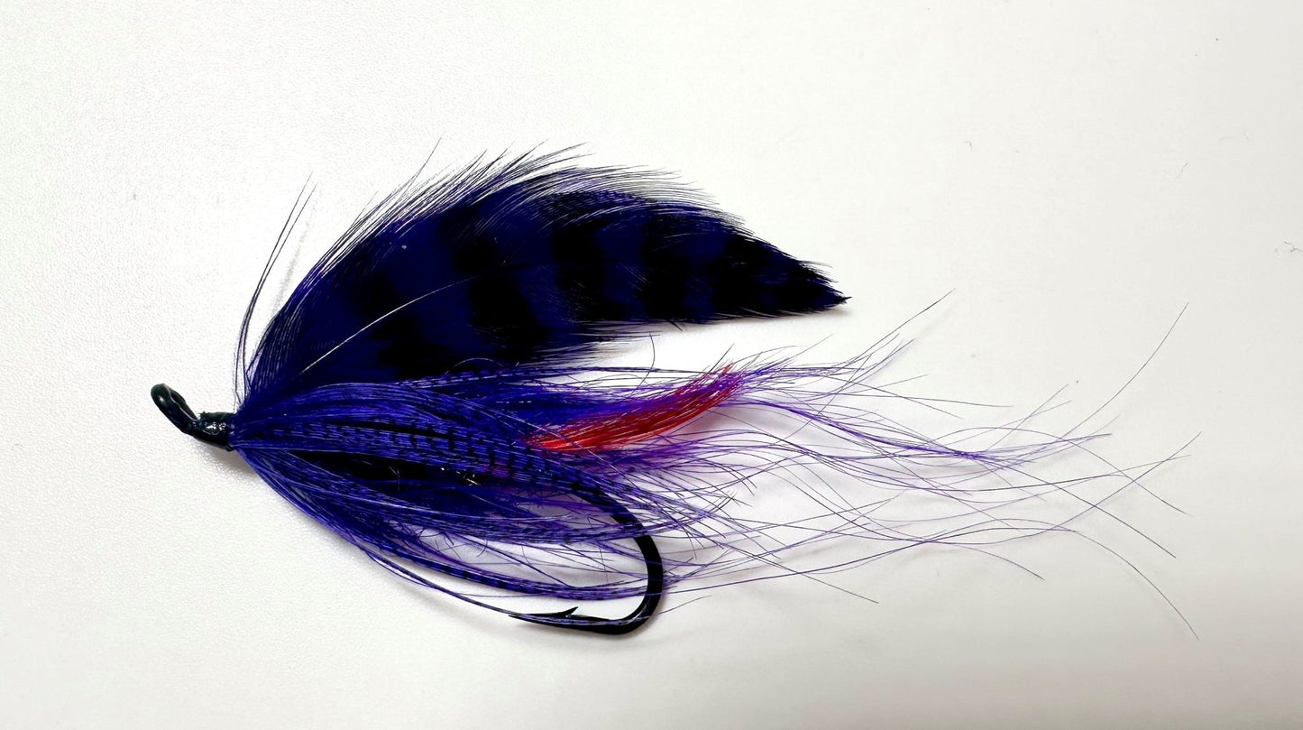 Wicket’s Glasso's Ghost Series