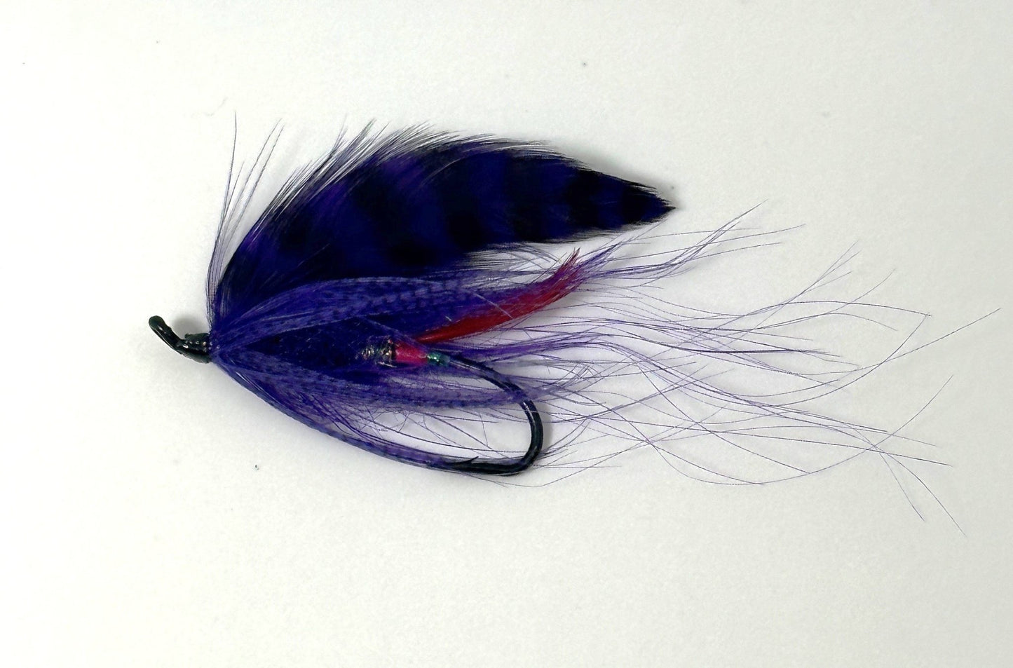 Wicket’s Glasso's Ghost Series