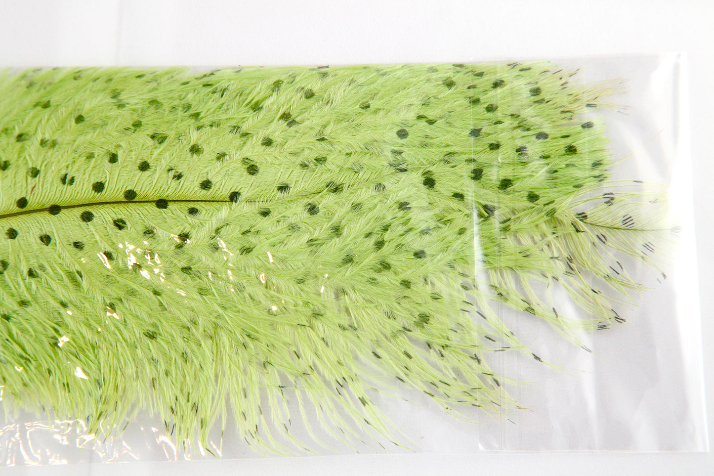 Small Dotted Ostrich- 2 Pack