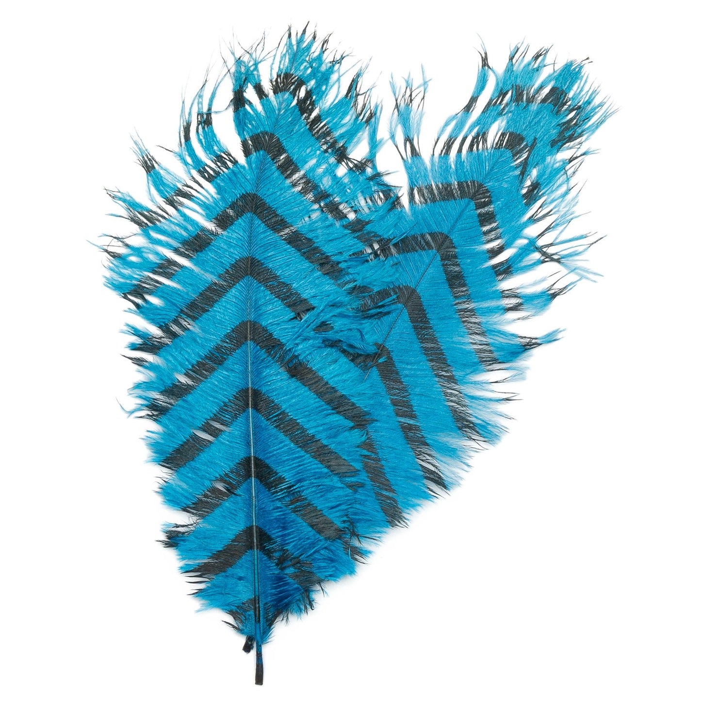 Signature Intruder Drabs-Barred-2 Pack