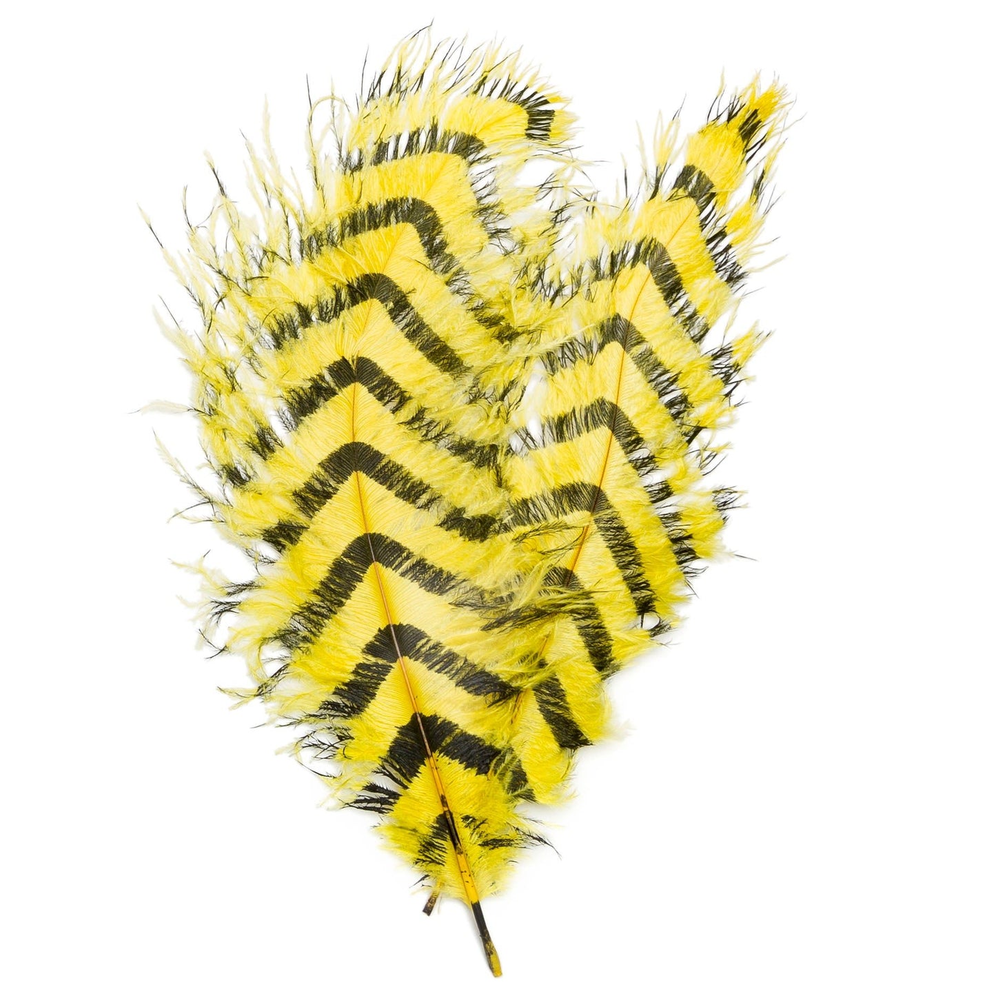 Signature Intruder Drabs-Barred-2 Pack