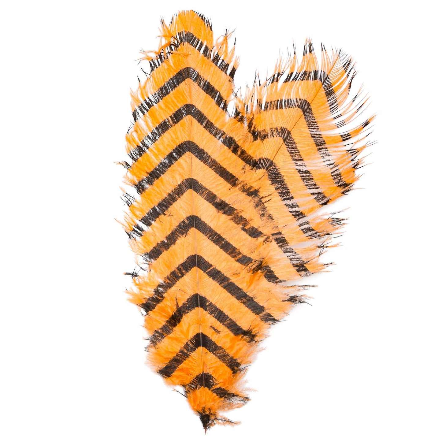 Signature Intruder Drabs-Barred-2 Pack
