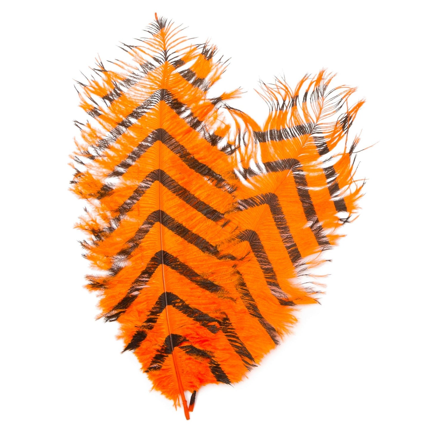 Signature Intruder Drabs-Barred-2 Pack
