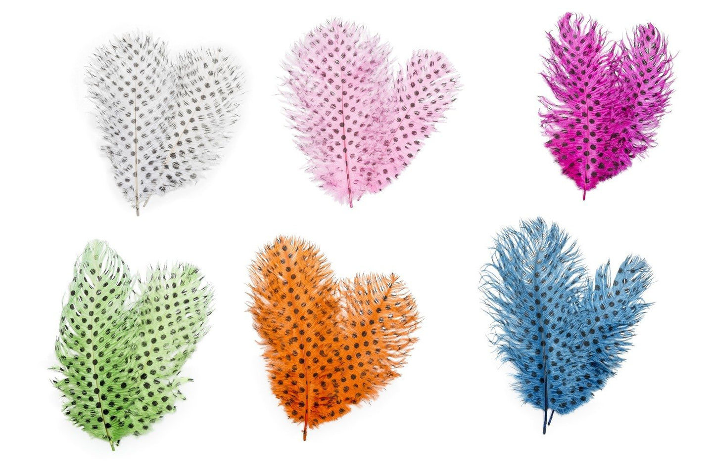 Signature Intruder Drabs- Dotted- 2 Pack