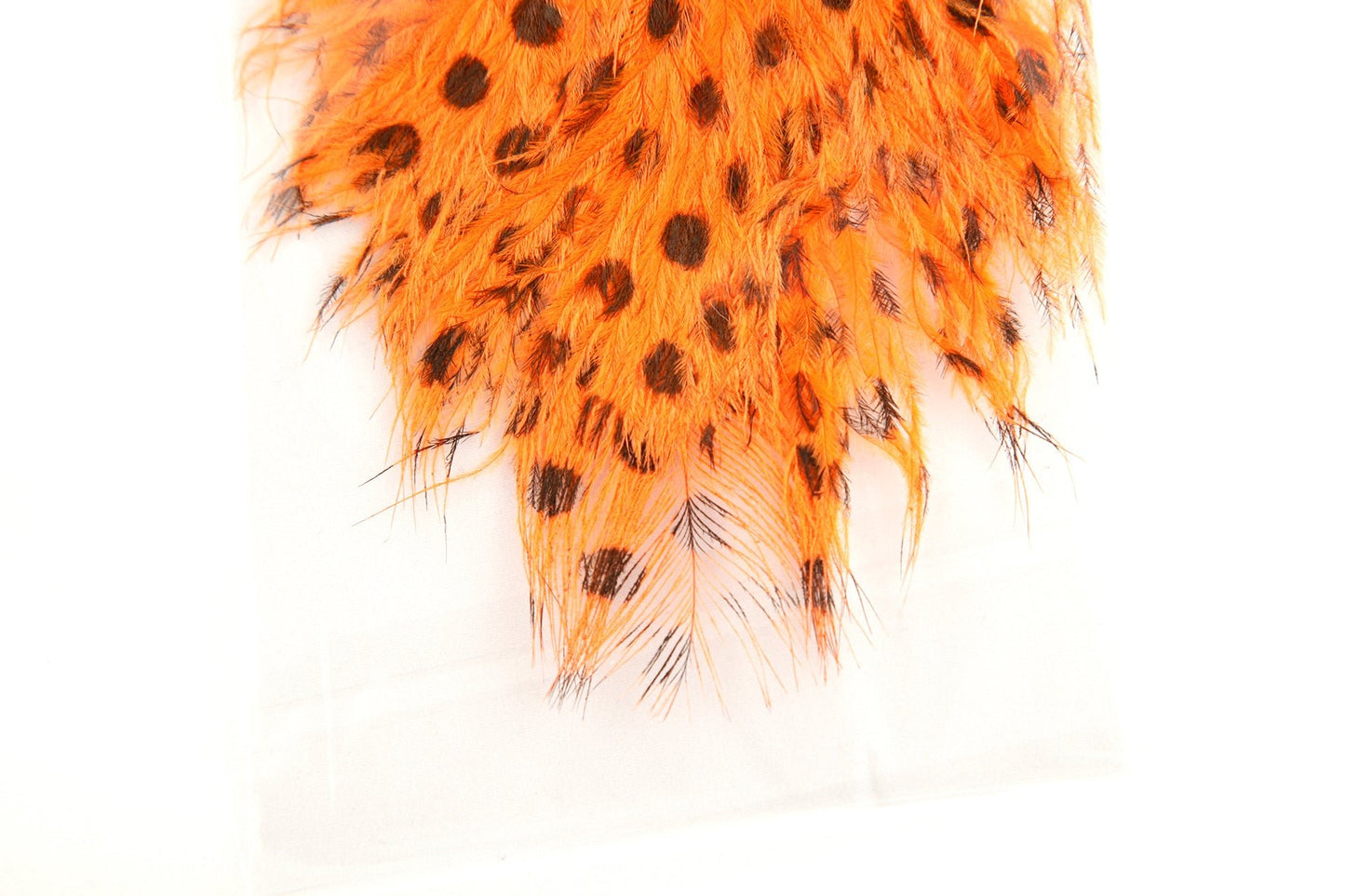 Signature Intruder Drabs- Dotted- 2 Pack