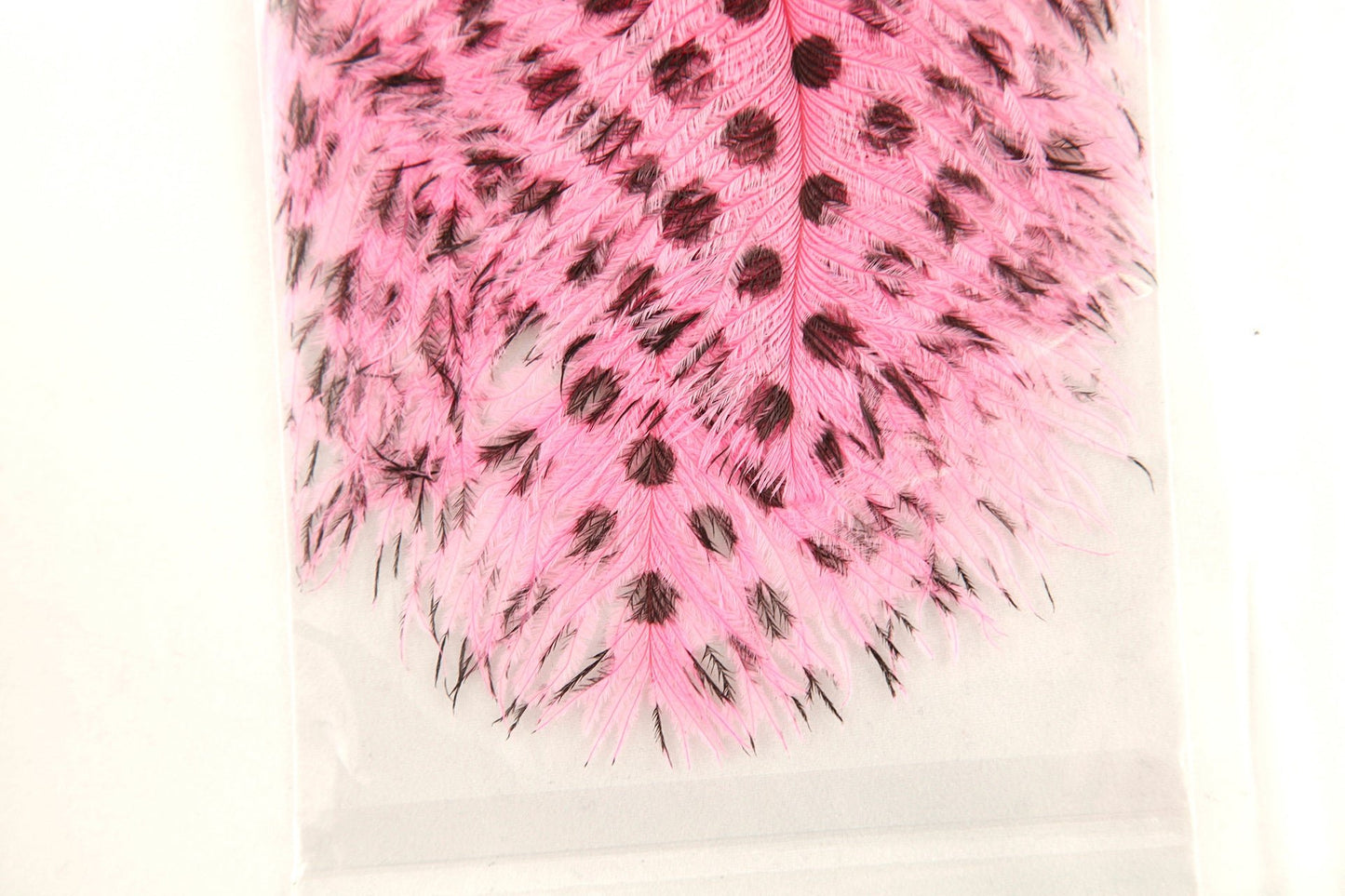 Signature Intruder Drabs- Dotted- 2 Pack