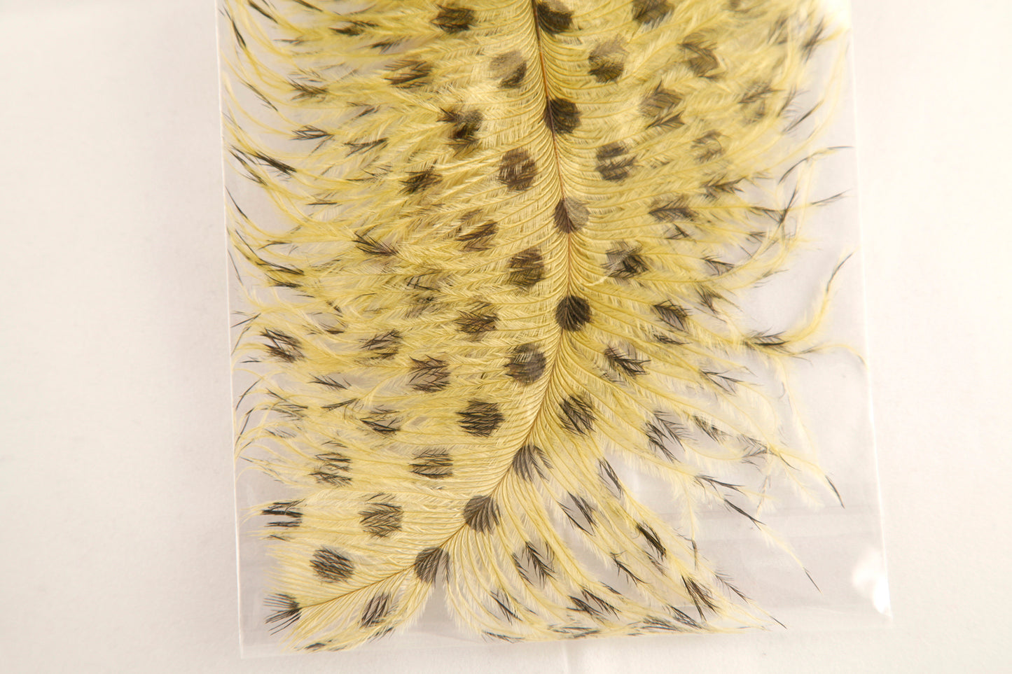 Signature Intruder Drabs- Dotted- 2 Pack