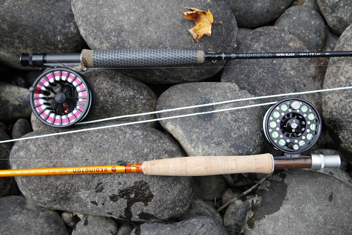 Pure Skagit Lazar Line