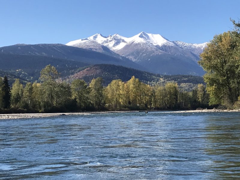 Canada, Week 1