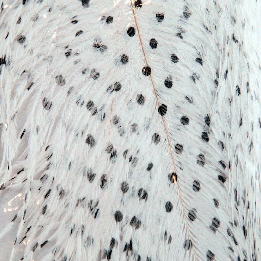 Small Dotted Ostrich- 2 Pack