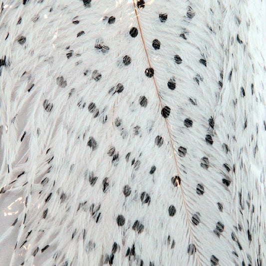 Small Dotted Ostrich- 2 Pack