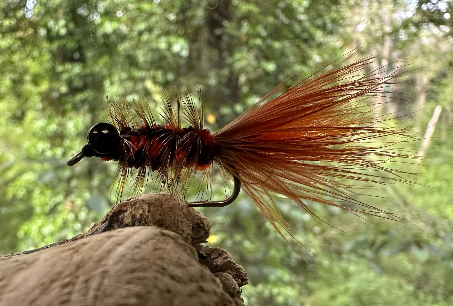 Ed Ward's Wooly-Ward Fly